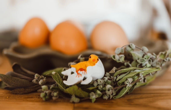 Lifecycle of a Chicken