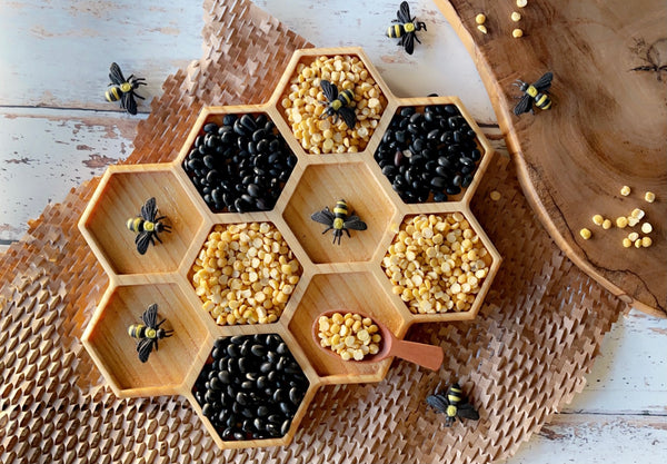 Honeycomb sensory tray