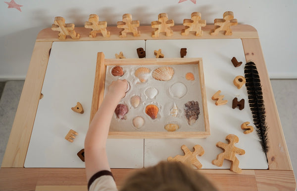 Montessori Sand Tray