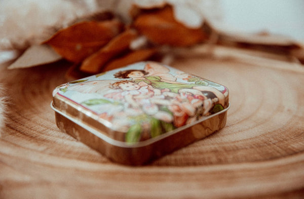 Flower fairies tin- Apple blossom