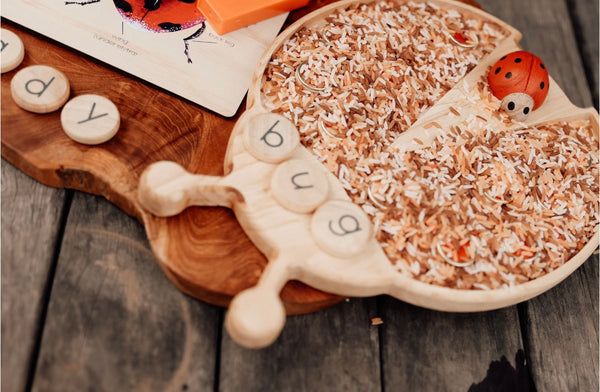 Lady bug sensory board