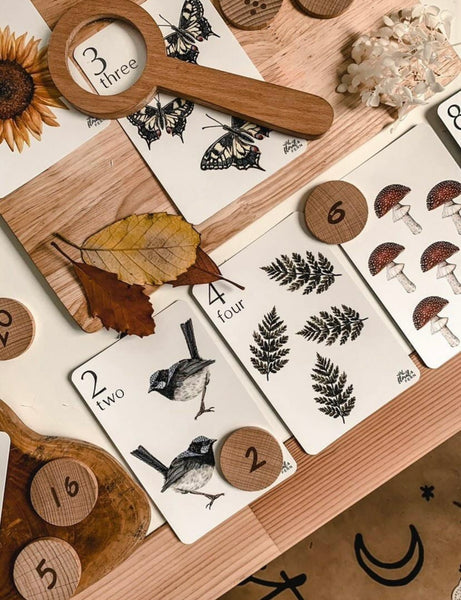 Nature Counting Flash Cards