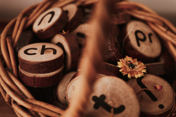 Wooden Phonogram Learning Kit 1
