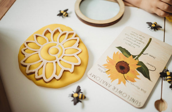 Sunflower Eco cutter