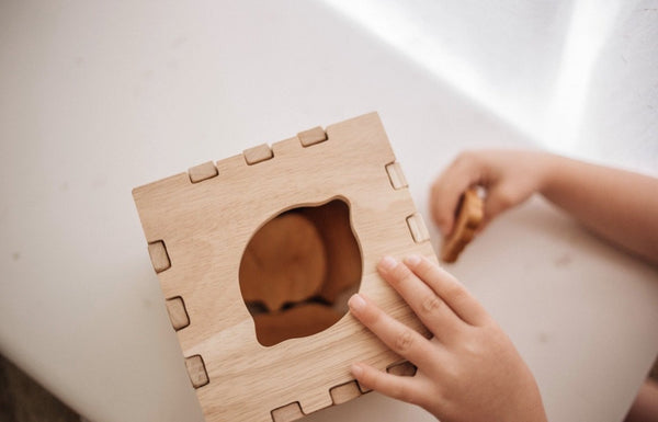 Fruit Box Puzzle