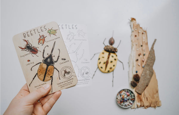 Beetle Tile + Colouring Card