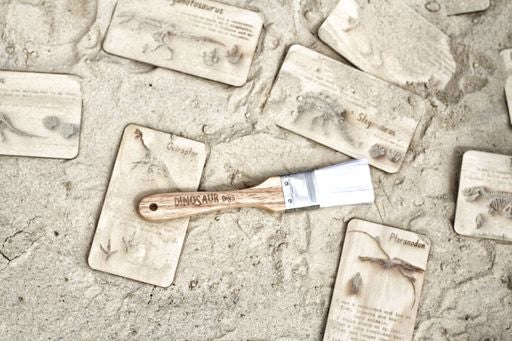 Dinosaur digs fossil cards