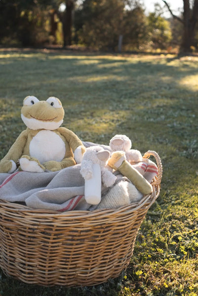 Bill the Duck Rattle