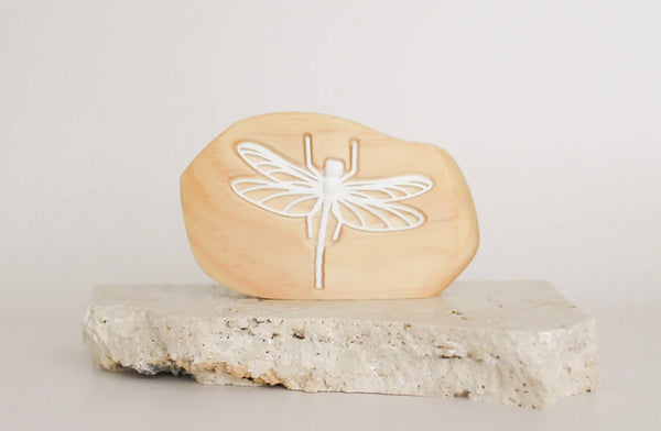 Ancient Dragonfly Fossil in Rock