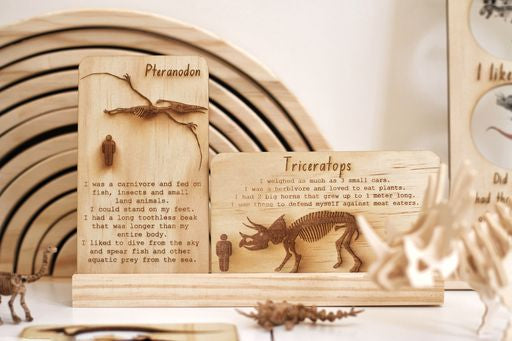 Dinosaur digs fossil cards