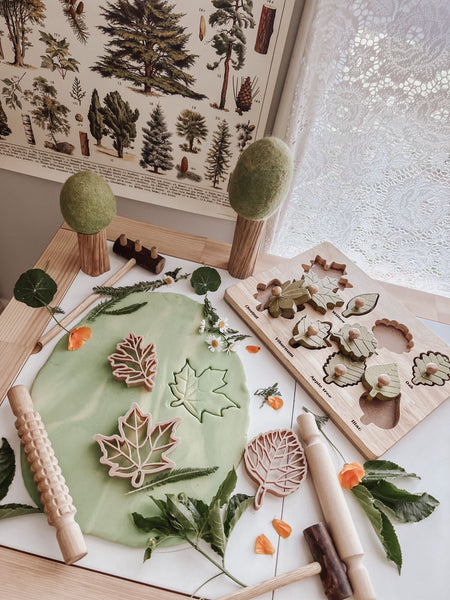 Montessori Leaf Puzzle