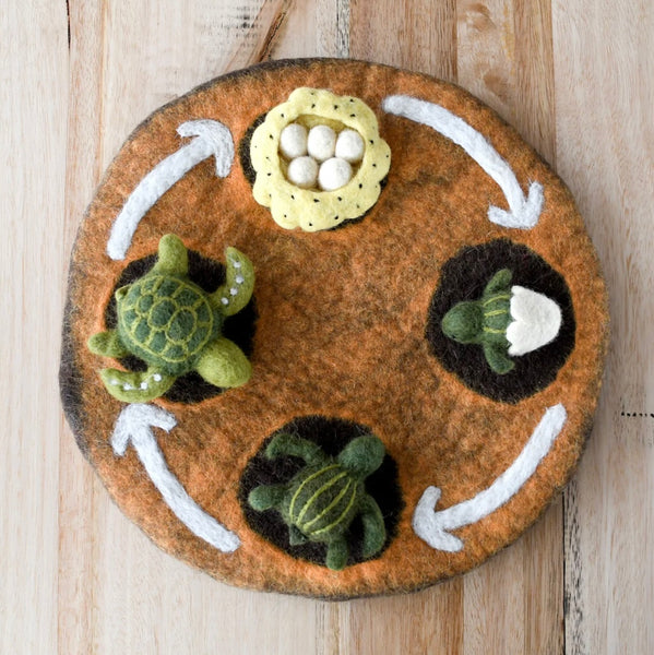 Felt Lifecycle of Green Sea Turtle