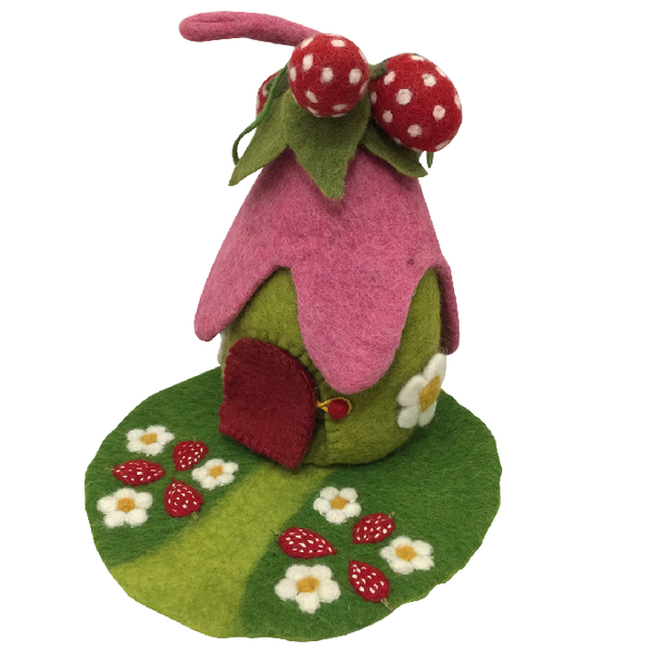 Strawberry house & mat