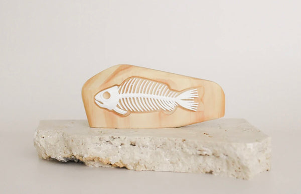 Ancient Fish Fossil in Rock