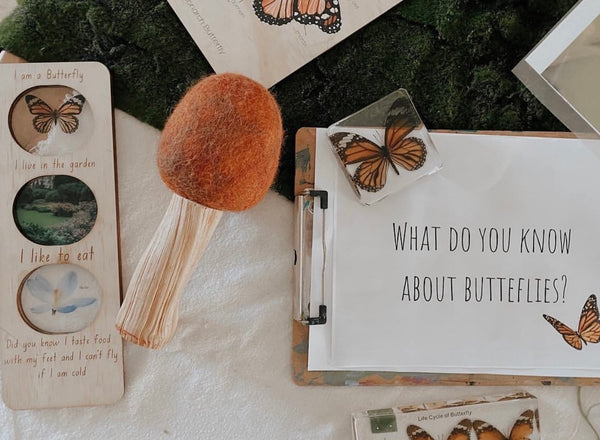 Butterfly ecosystem board + stand