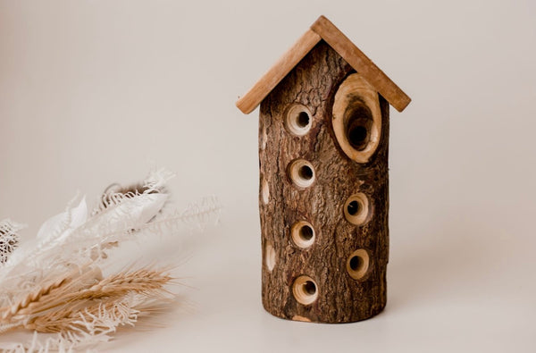 Lady Bug House