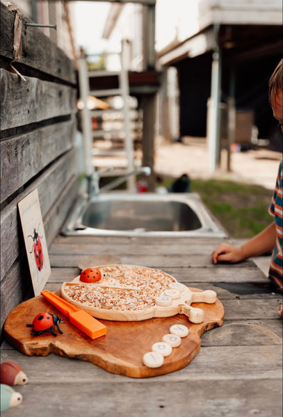 Lady bug sensory board