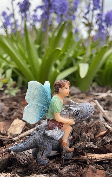 Fairy Draco with Dragon