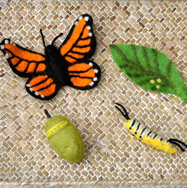 Felt Lifecycle of Monarch Butterfly