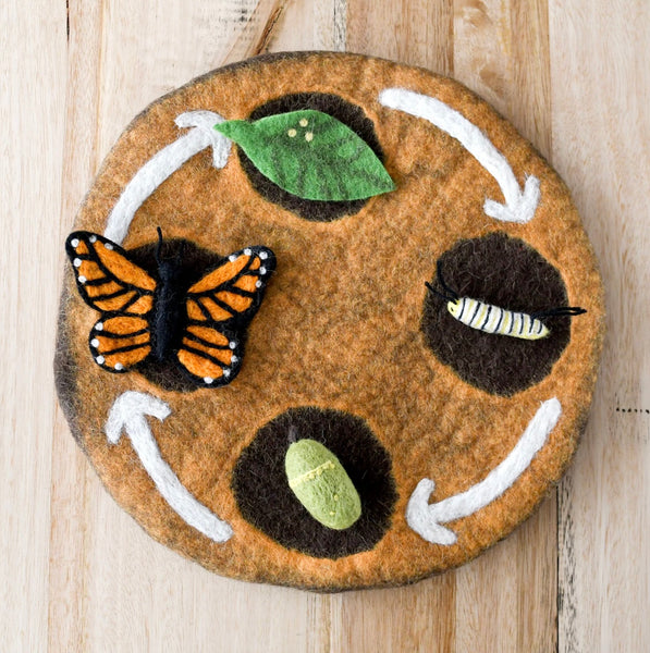 Felt Lifecycle of Monarch Butterfly
