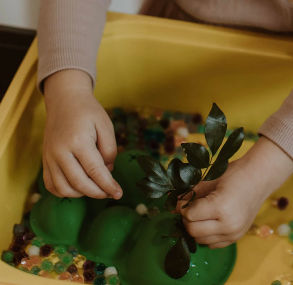 SENSORY SCENE SETTERS- RAINFOREST