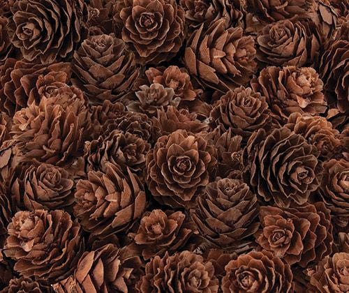 Mini Pine Cones 190g