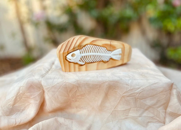 Ancient Fish Fossil in Rock