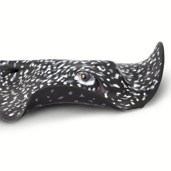 Marble Ray