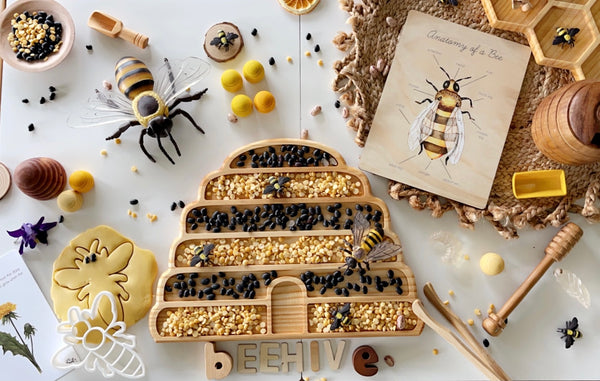 Beehive sensory tray