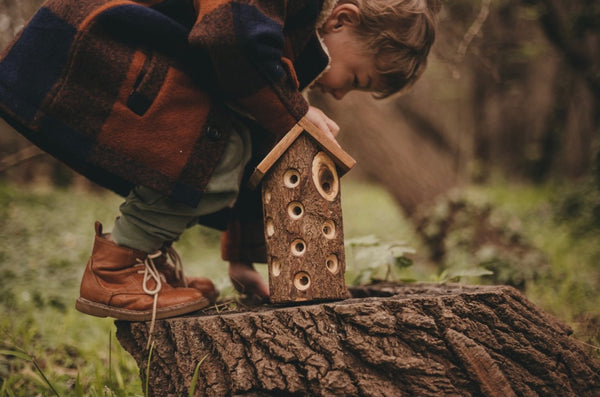 Lady Bug House