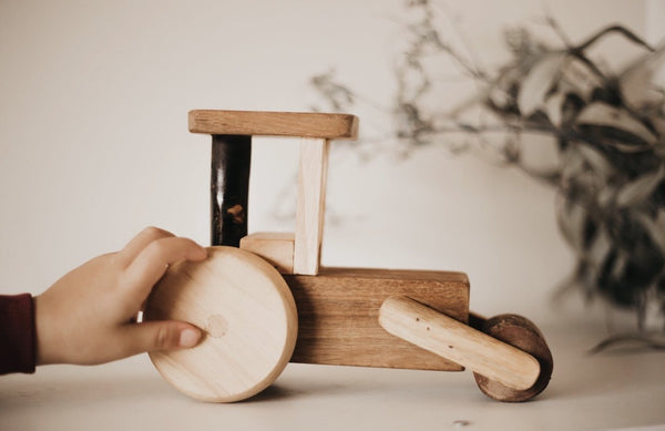 Natural Timber Steam Roller