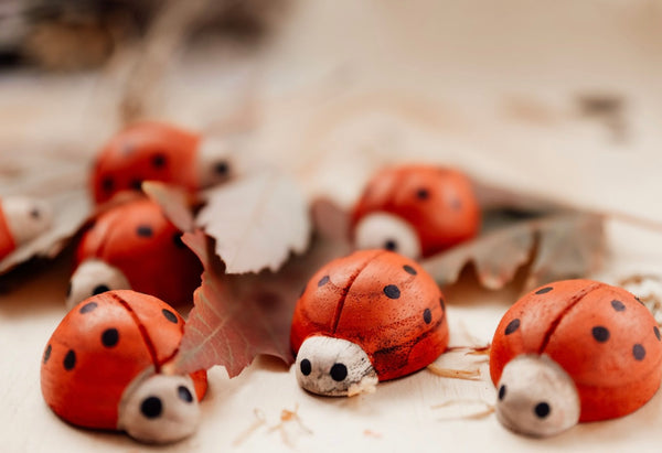 Red Ladybirds/7pc