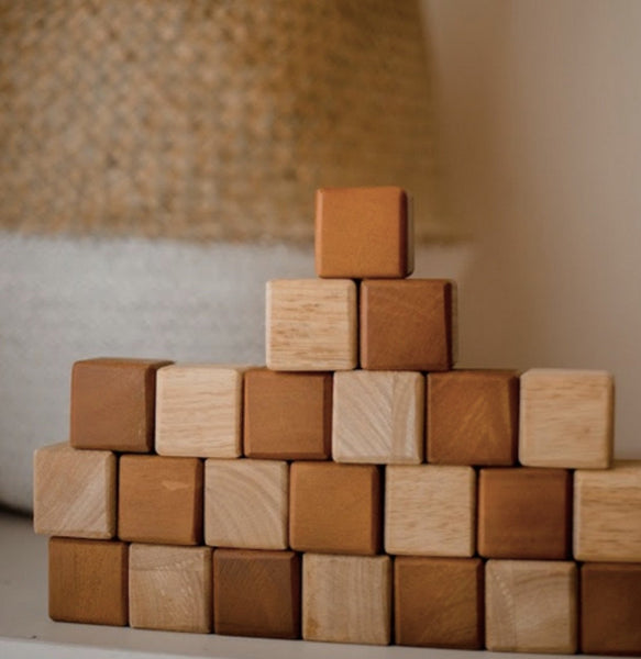 My First Natural Blocks 25 PCS