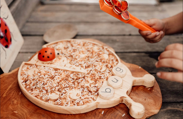 Lady bug sensory board