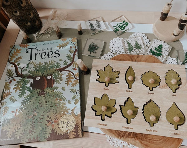 Montessori Leaf Puzzle