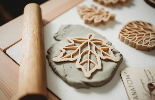 Leaf Eco cutter set