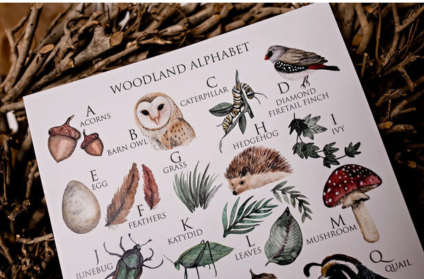 A3 Woodland Alphabet Art Print- Floral & Fern
