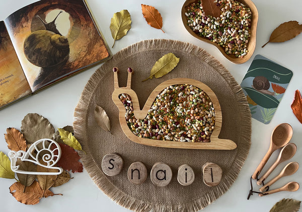 Snail sensory board