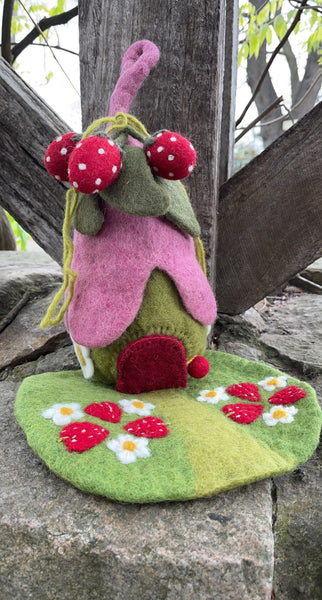 Strawberry house & mat