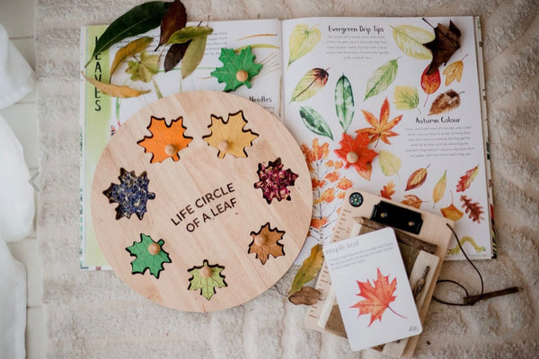 Leaf Circle Of Life Puzzle