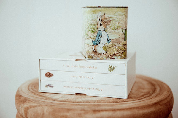 Beatrix potter money tin