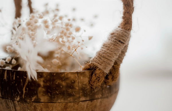 Coconut Basket