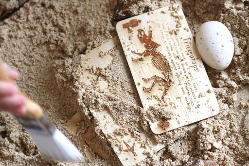 Dinosaur digs fossil cards