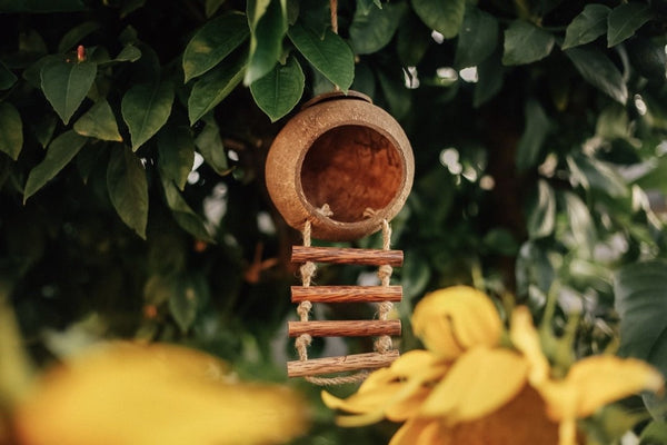 Hanging fairy/ bird house