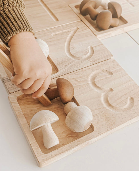 Jumbo Counting Trays