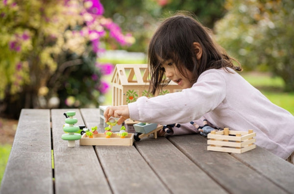 Greenhouse with Garden Set