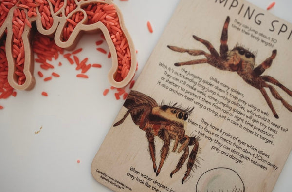 Jumping spider Tile + Colour in Card