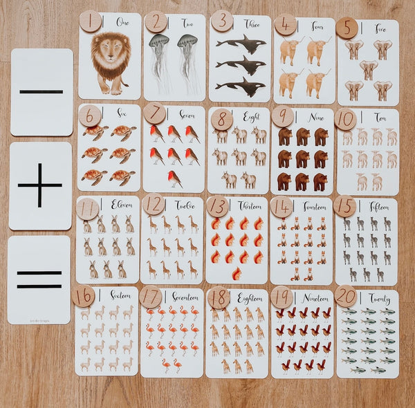 "Nature's 123" Flashcards