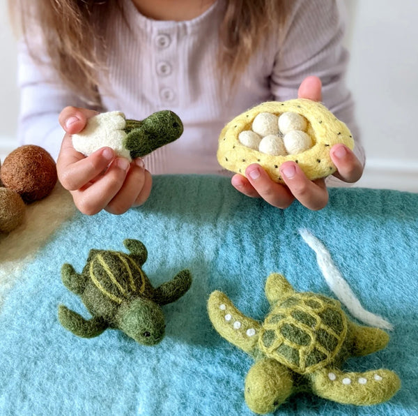 Felt Lifecycle of Green Sea Turtle