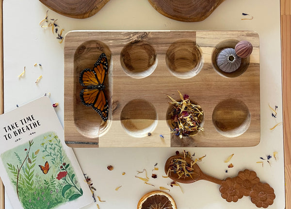 Montessori Sorting Tray